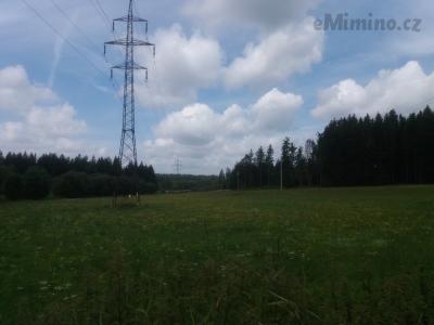 20190808_120453.jpg