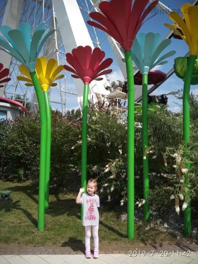 IMG_20190720_114204.jpg