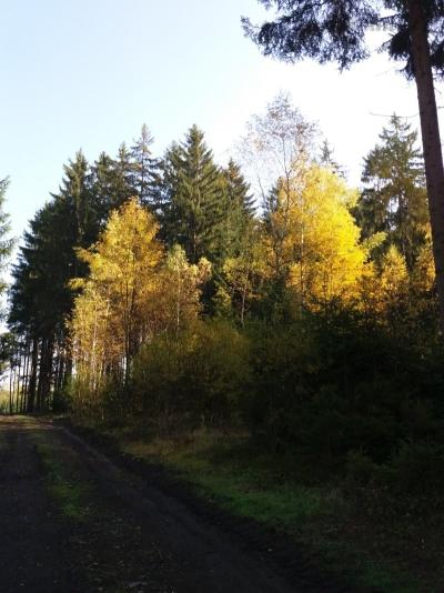 20191014_124137.jpg