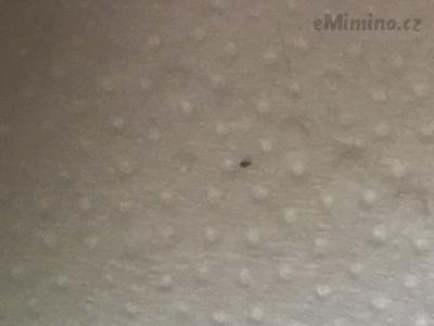 2FD8AB8F-1FBE-43D2-AAF5-114757242A09.jpeg