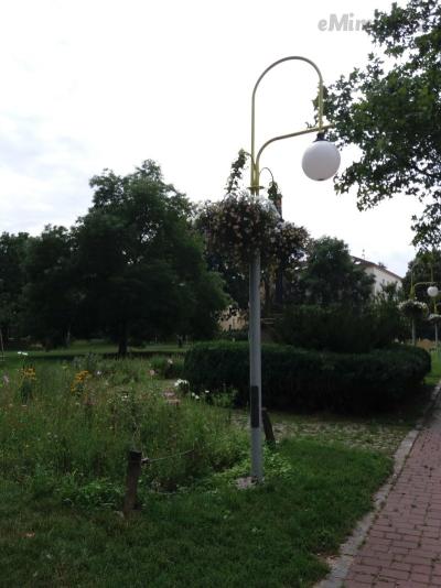 20190817_130553.jpg