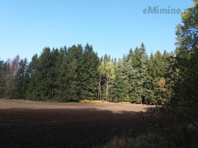 20191014_123359.jpg