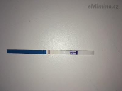 E5E63691-442F-4B0B-AB4A-455C0F0036AE.jpeg