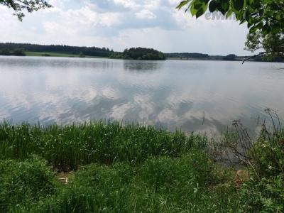 20190605_140933.jpg