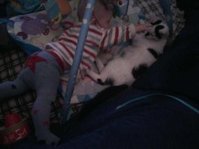 IMG-20191102-WA0001.jpg