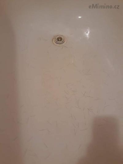 20190911_223631.jpg