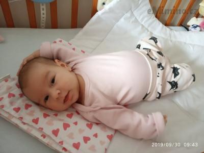 IMG_20190930_094358.jpg