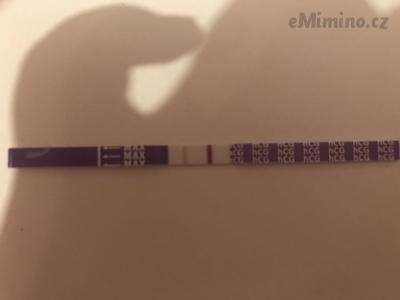 24633E3E-E3AB-4E70-A03B-7F706178B0B8.jpeg