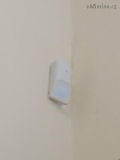 IMG_20190808_091517.jpg