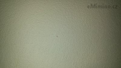 20190509_194010.jpg
