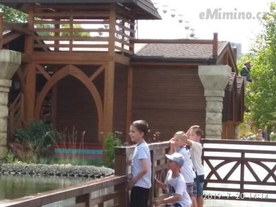 IMG_20190720_141456.jpg
