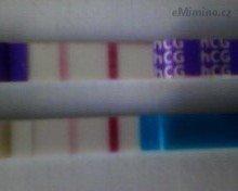 Testování a těhotenský test | Digitální test 22dpo