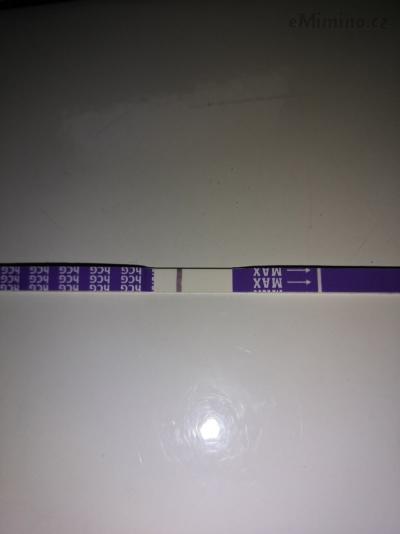 15583508540013479712679345687259.jpg