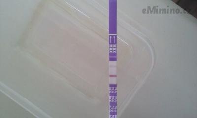 IMG-20190817-WA0003.jpeg