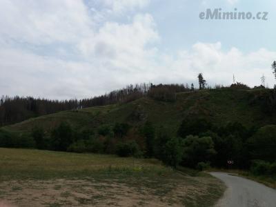 20190728_144958.jpg
