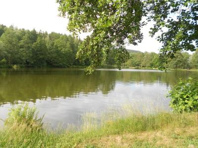DSCN0137.JPG