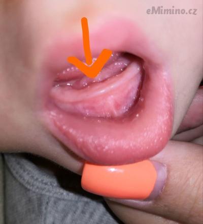 IMG-0bafa636ec96d77a6e68e5293809940b-V.jpg