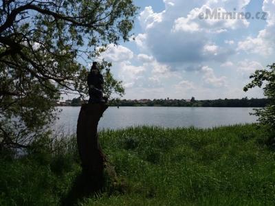 20190605_140401.jpg