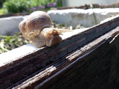 20190518_153331.jpg
