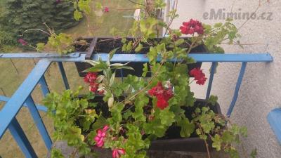 20190803_102422.jpg