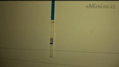 IMG-5127e2728fb6c4e7cfaf22268f80f433-V.jpg