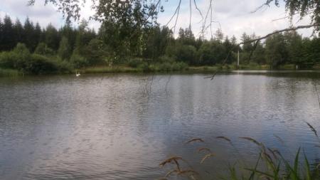 KŘIVÝ RYBNÍK