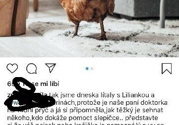 slepicka