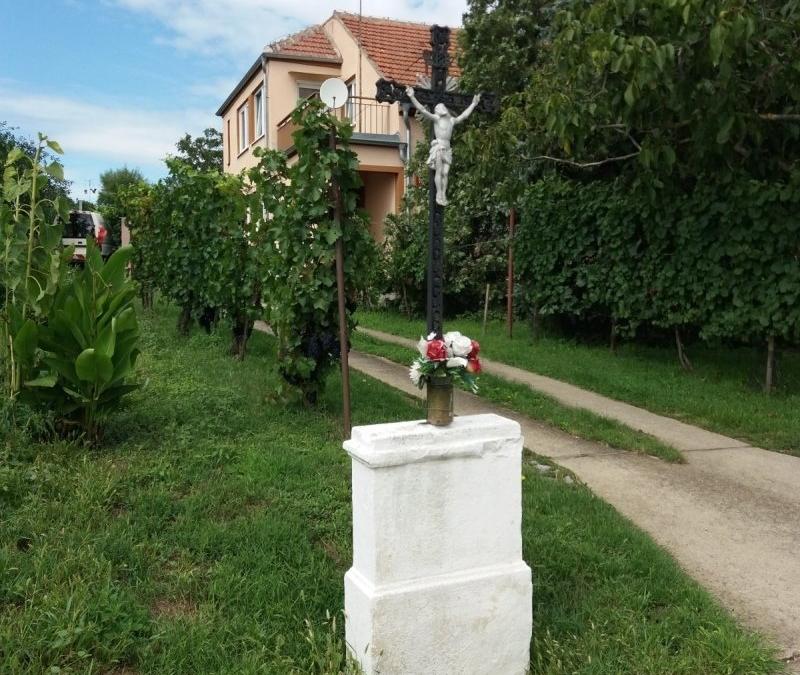 Fotogalerie RAKVICE na eMimino.cz