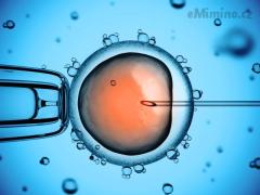 IVF: nevzdávám se, čeká mne další pokus