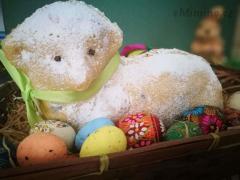 IMG_20210328_113743.jpg