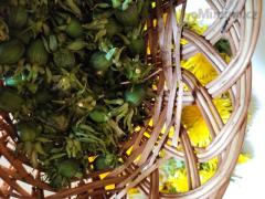 IMG_20200508_112553.jpg