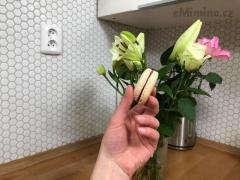 Snadný recept na makronky