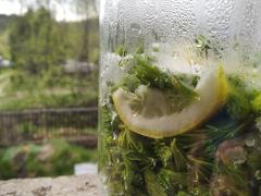 IMG_20200517_100149.jpg