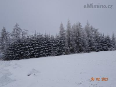 DSC01217.JPG