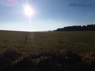 20201231_132956.jpg