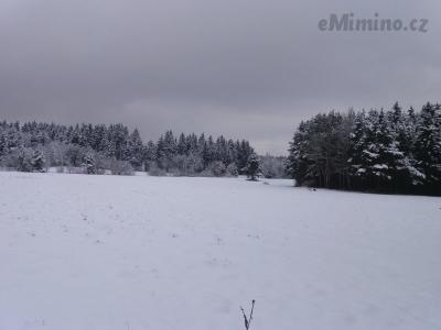 20210109_143249.jpg