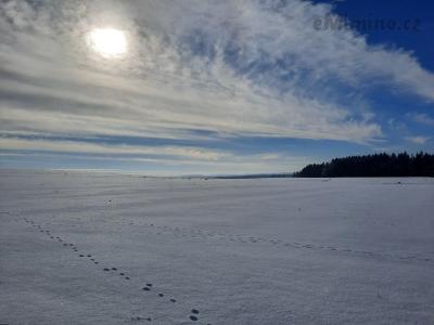 20210131_122748.jpg