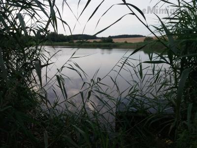 20200811_180148.jpg
