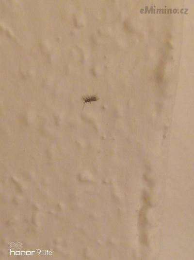 IMG_20200103_191350.jpg