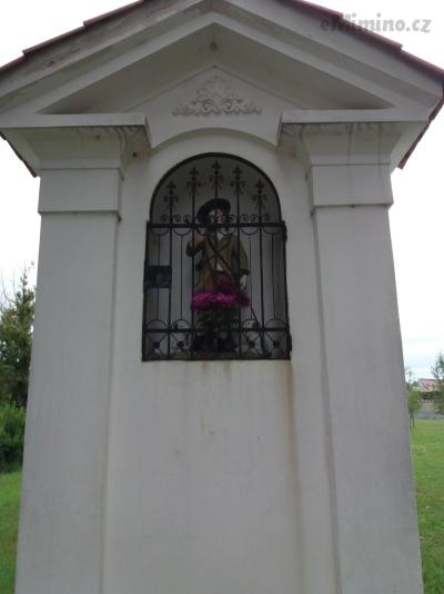 20200904_111105.jpg