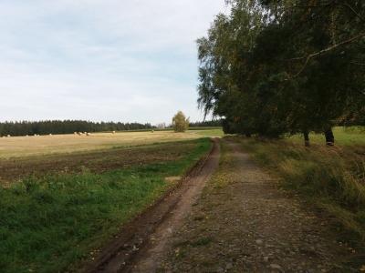 20201003_133518.jpg