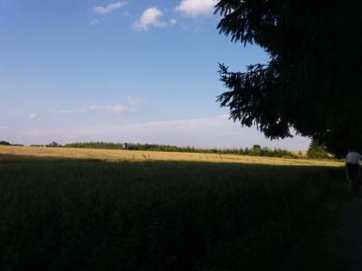 20200720_184630.jpg