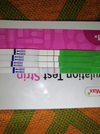 15885160346564250798837232263316.jpg