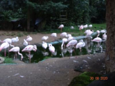 DSC00158.JPG