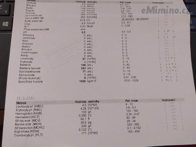 IMG_20210320_170617.jpg