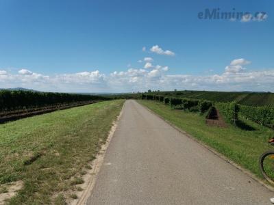 20200903_133203.jpg