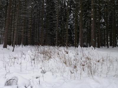 20210119_125443.jpg