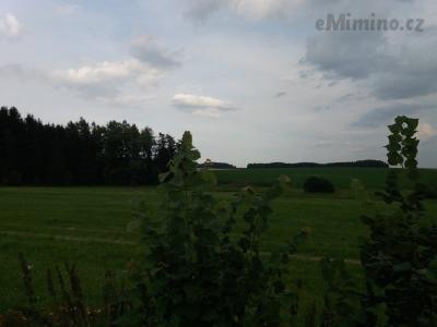 20200811_175327.jpg
