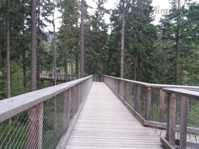 20200802_093138.jpg