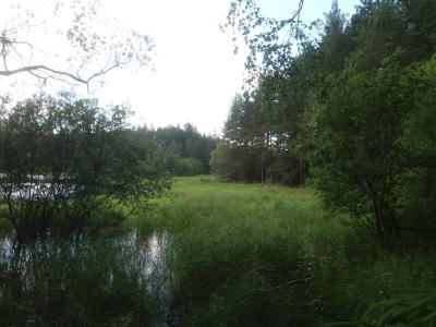 20200703_173358.jpg